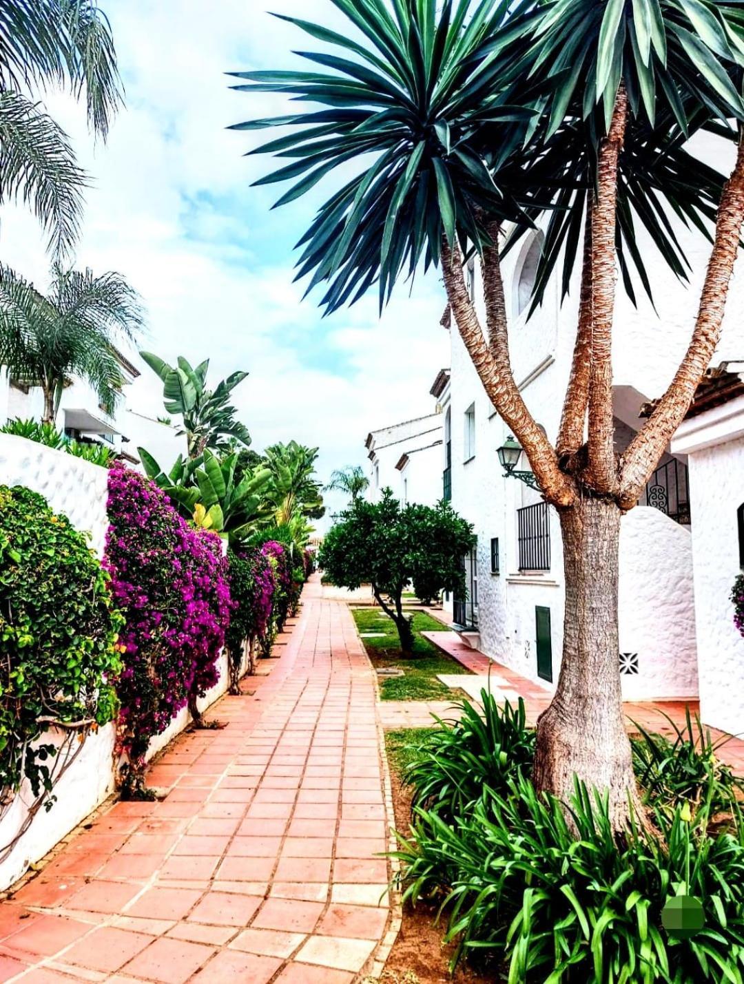 Paraiso Y Mar Apartment Estepona Bagian luar foto